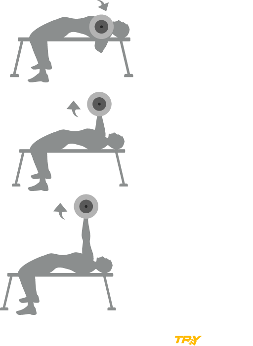 Chest circumference